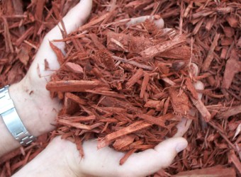Woodbark & Mulch