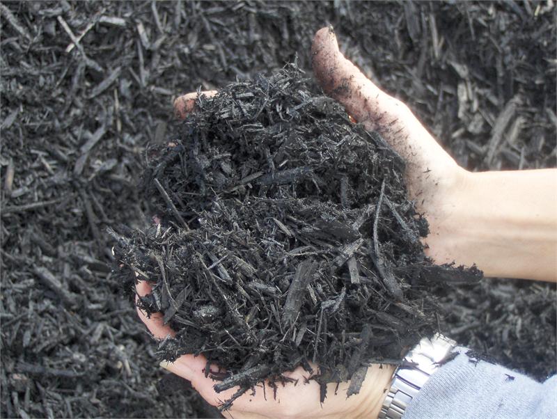Woodbark & Mulch
