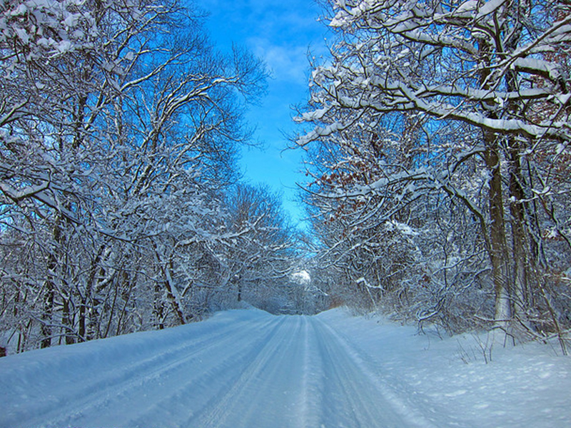 snow covered roadway with trees and blue sky